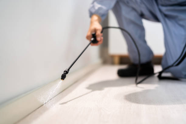 Licensed Fumigation Services service in Yountville, CA - Nex Pest Control