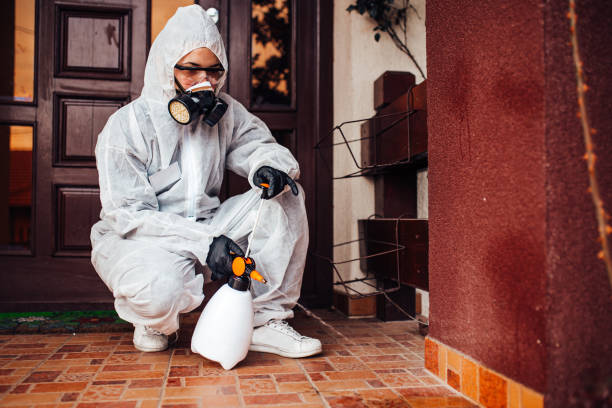 Reliable Fumigation Services contractor in Yountville, CA by Nex Pest Control